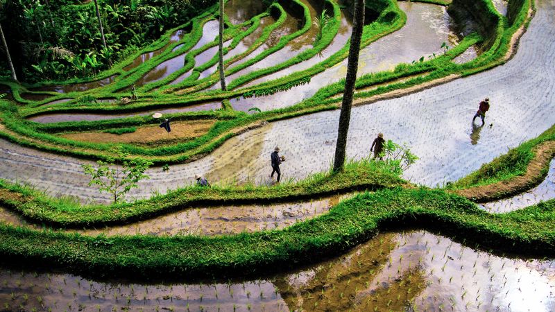 Bali: When Paradise Becomes a Parking Lot