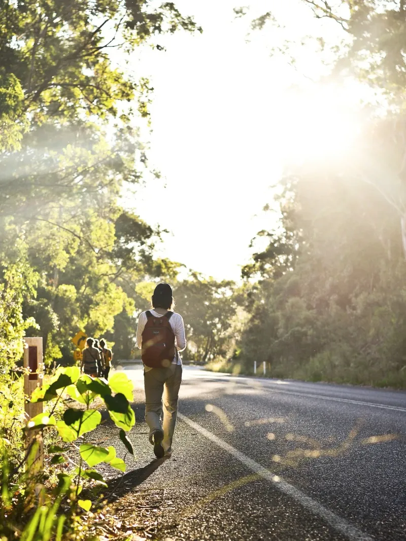 You'll Miss Out on Sunlight, Nature's Reset Button