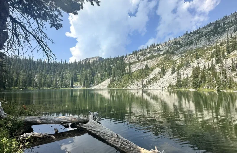 Remote Means Peace and Quiet