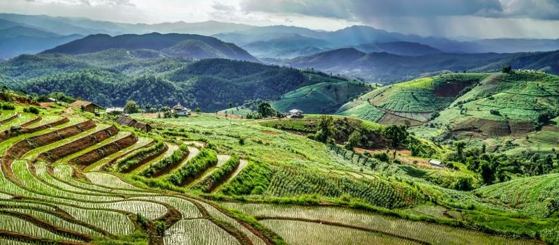Southeast Asia's Green Season