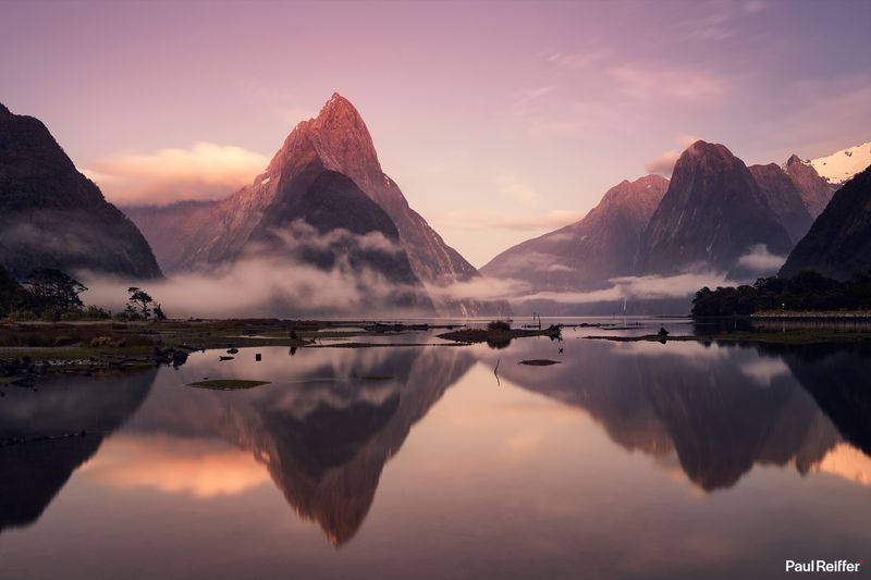 New Zealand 🇳🇿