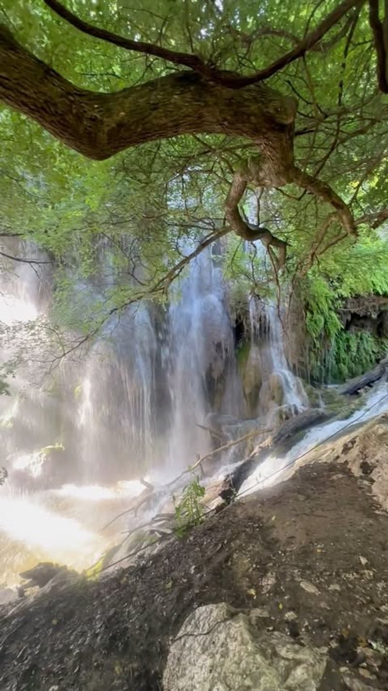 Gorman Falls (Hidden Waterfall Oasis)
