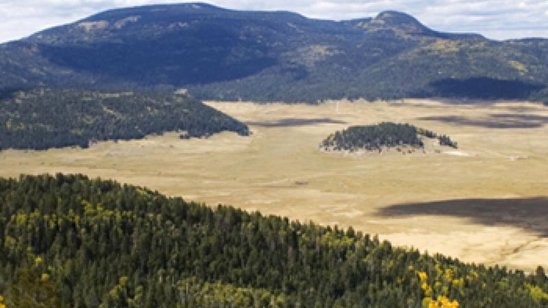 Valles Caldera National Preserve