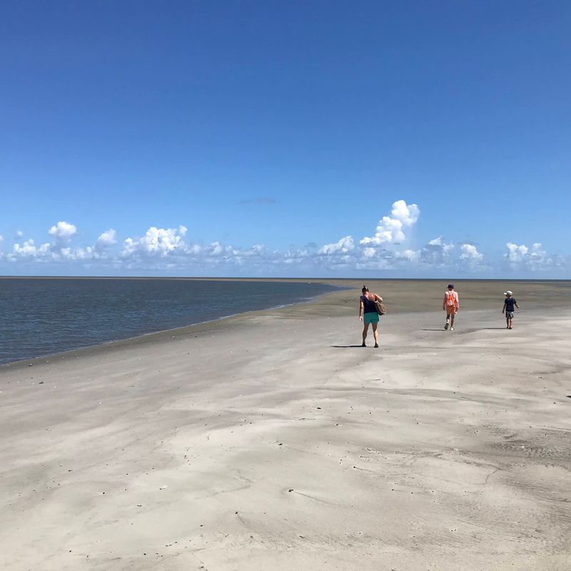Otter Island (St. Helena Sound Heritage Preserve) - Boat Access Required