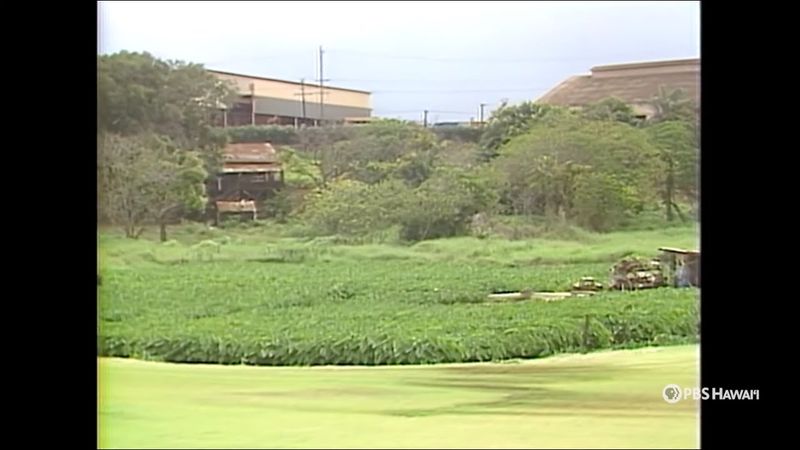 Explore the Beautiful Cultural Garden Park