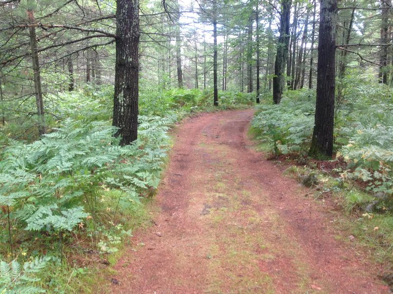Diverse Hiking Trails Through Multiple Ecosystems