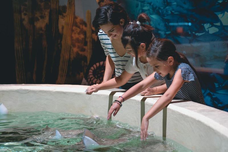 Let Kids Help Plan the Adventure