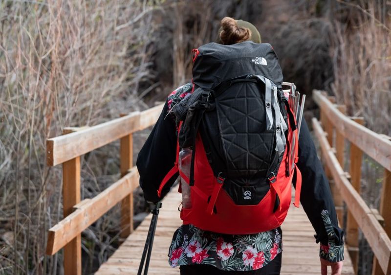 North Face Cobra 60