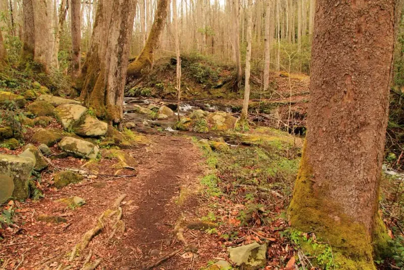 Elkmont Nature Trail