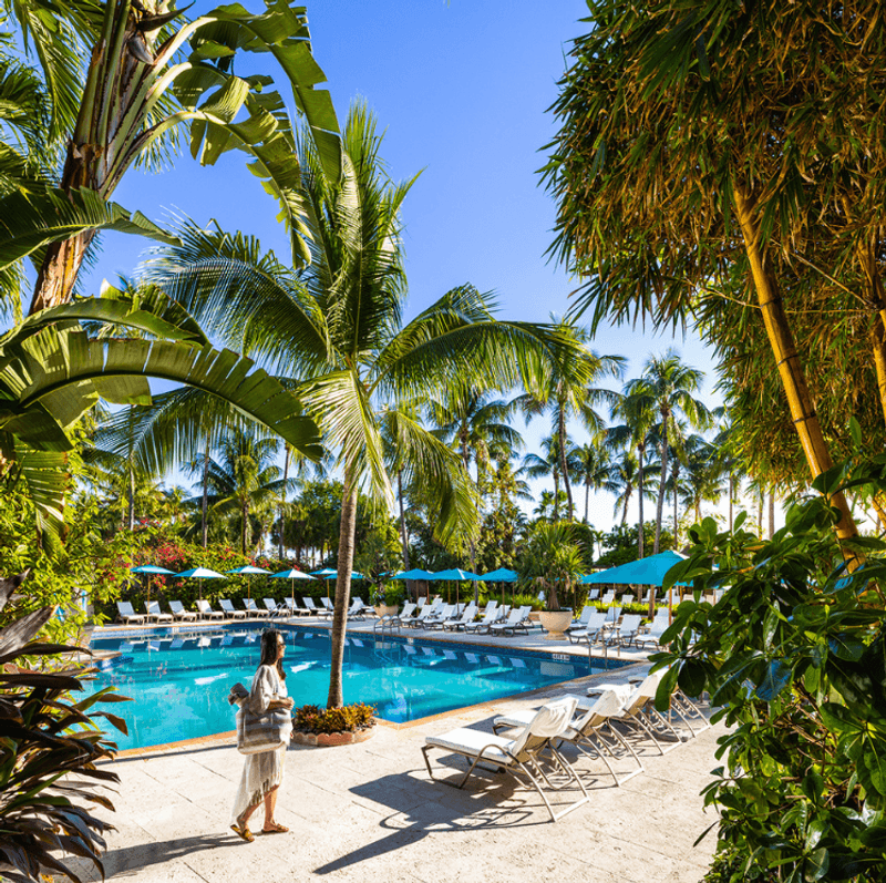 The Palms Hotel & Spa - Wellness Haven with Moderate Fees