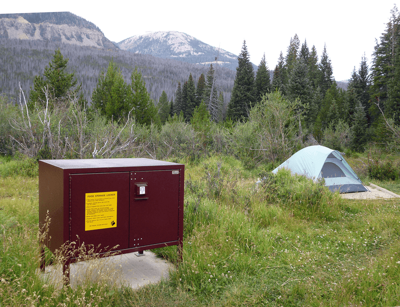 Store food like a pro in bear country