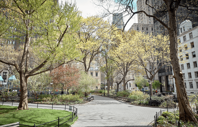 Madison Square