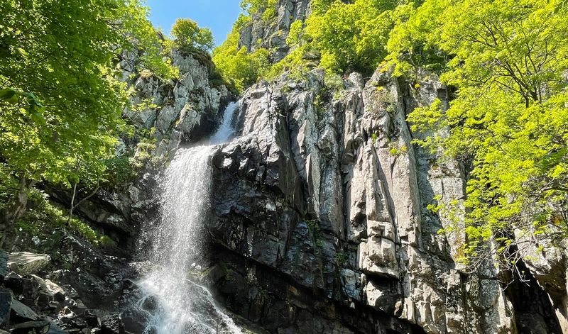 Bojana Waterfall, Bulgaria