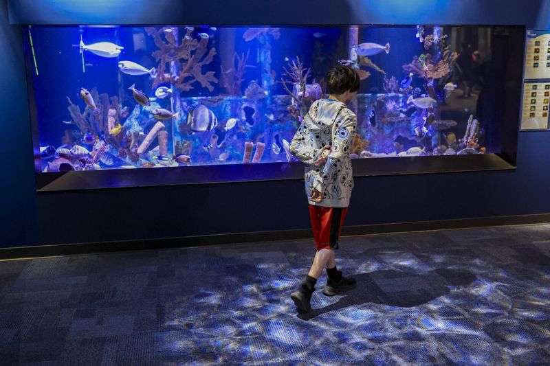 Great Lakes Aquarium Wonders