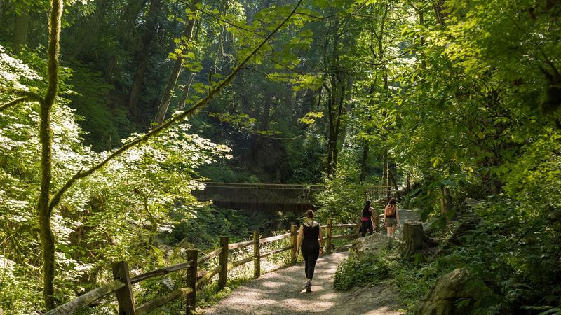 Forest Park
