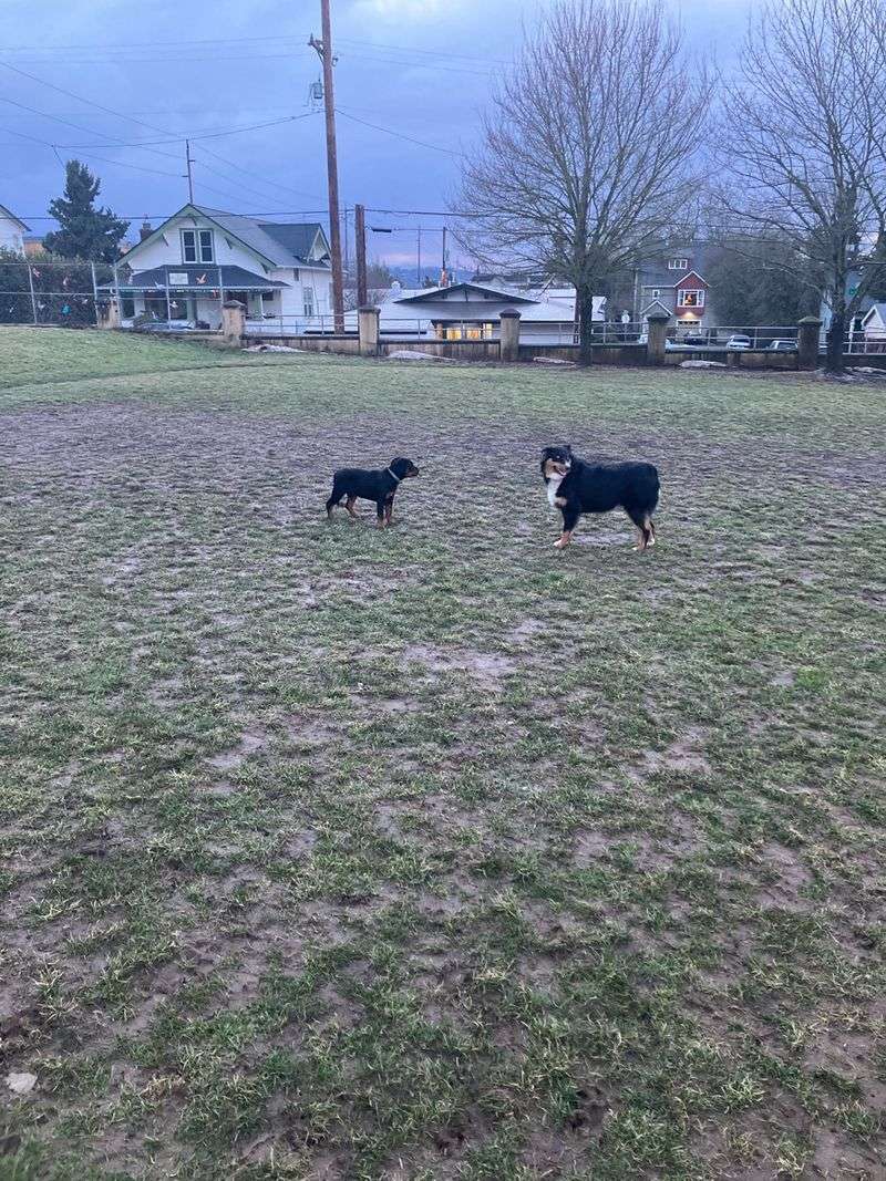 Creston Park – Open (off-leash area available)