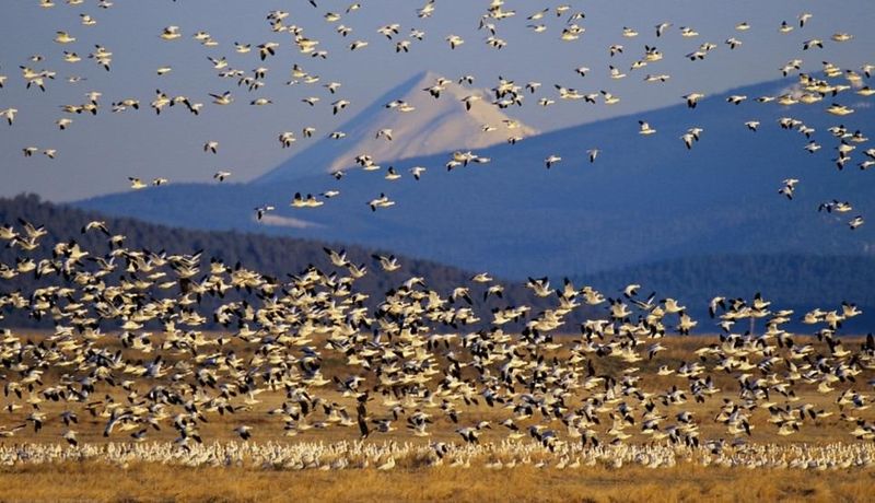 Klamath Falls, Oregon: Nature's Spectacular Canvas