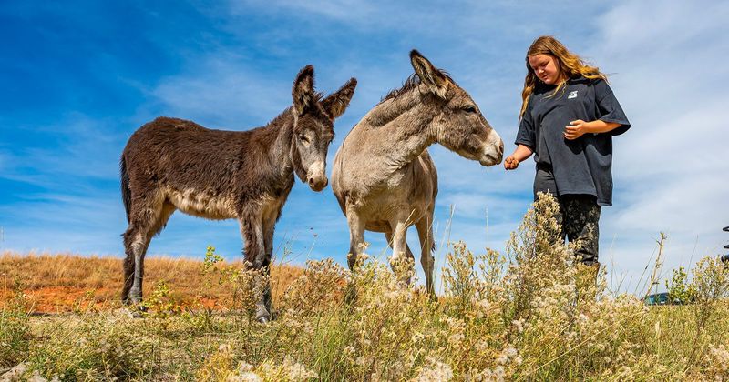 Wildlife and Art Across Every Trail
