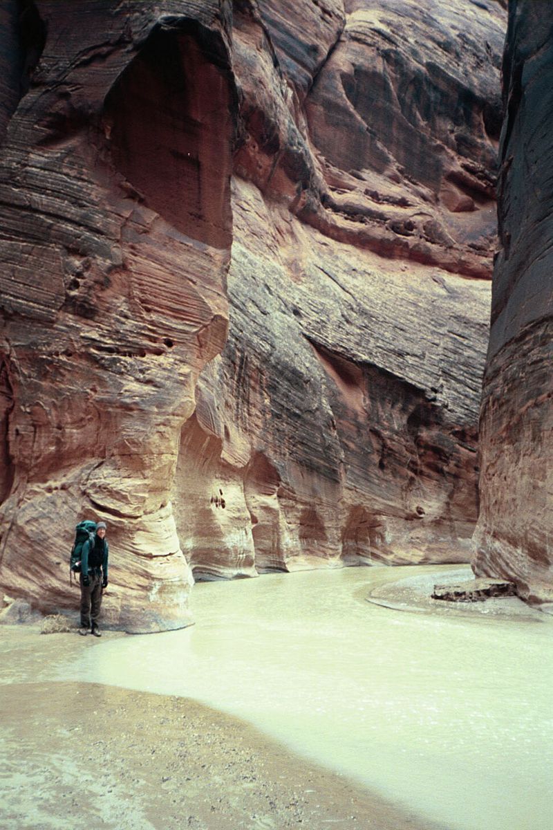 Paria Riffle / Paria-Colorado Confluence (Lees Ferry)