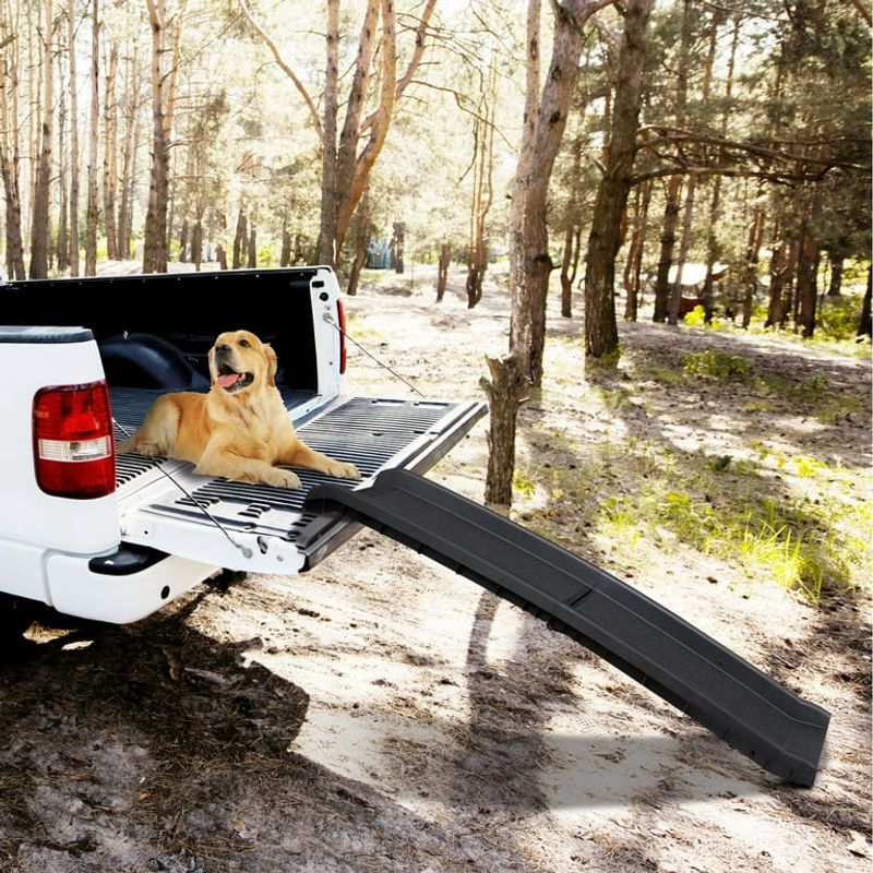 Portable Pet Ramp