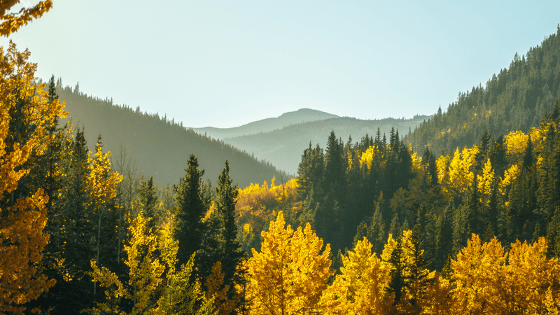 Red River, New Mexico: Mountain Magic in Miniature
