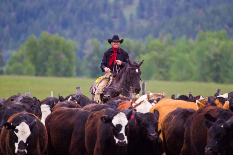 Darby, Montana: Bitterroot Valley's Hidden Gem