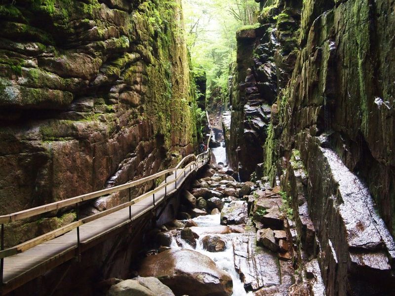 Flume Gorge Trail: Gorge-Rich Gold