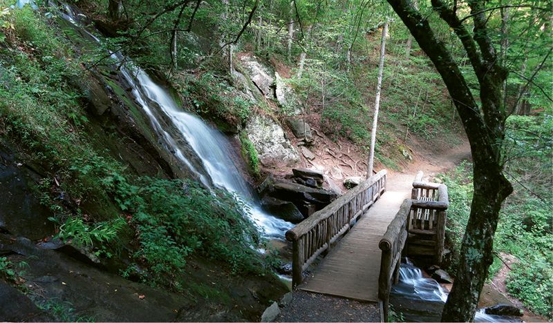Deep Creek Waterfalls Loop