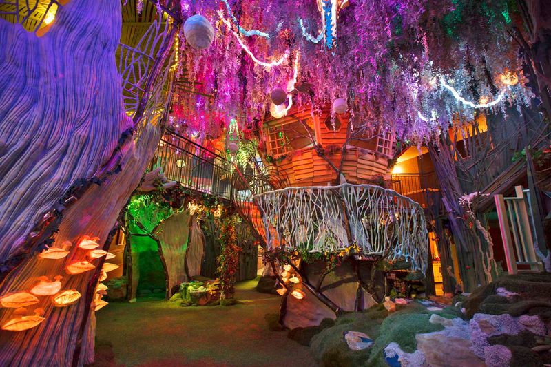 Off-the-Radar Meow Wolf Entry (Late-Night Weekdays)