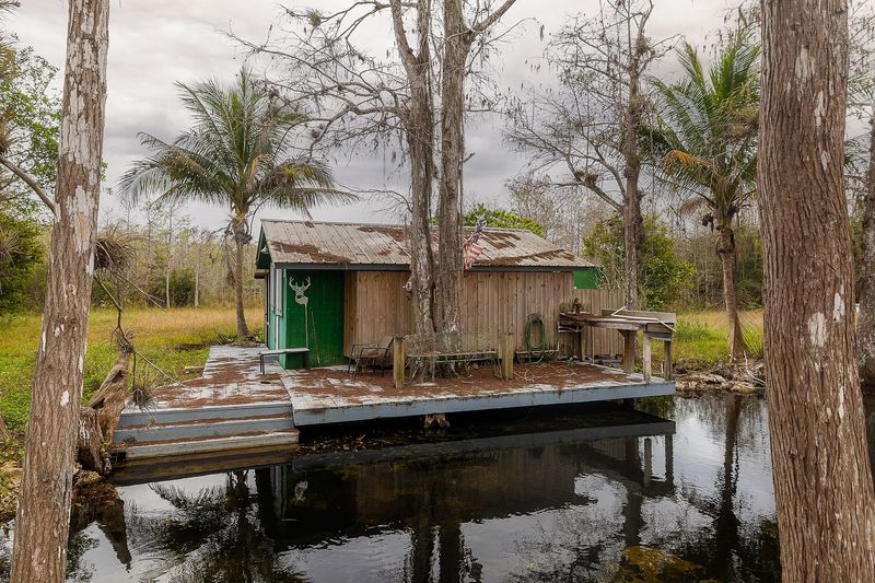 Forgotten Foundations Within Cypress Canopies