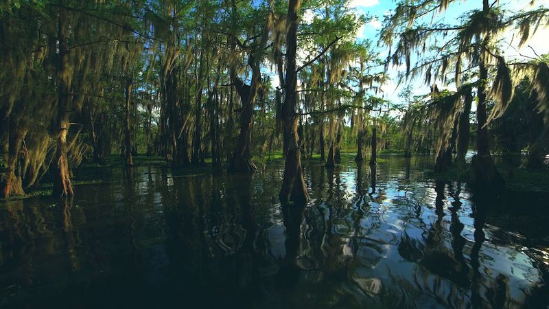 An Aquarium at Lake Pontchartrain