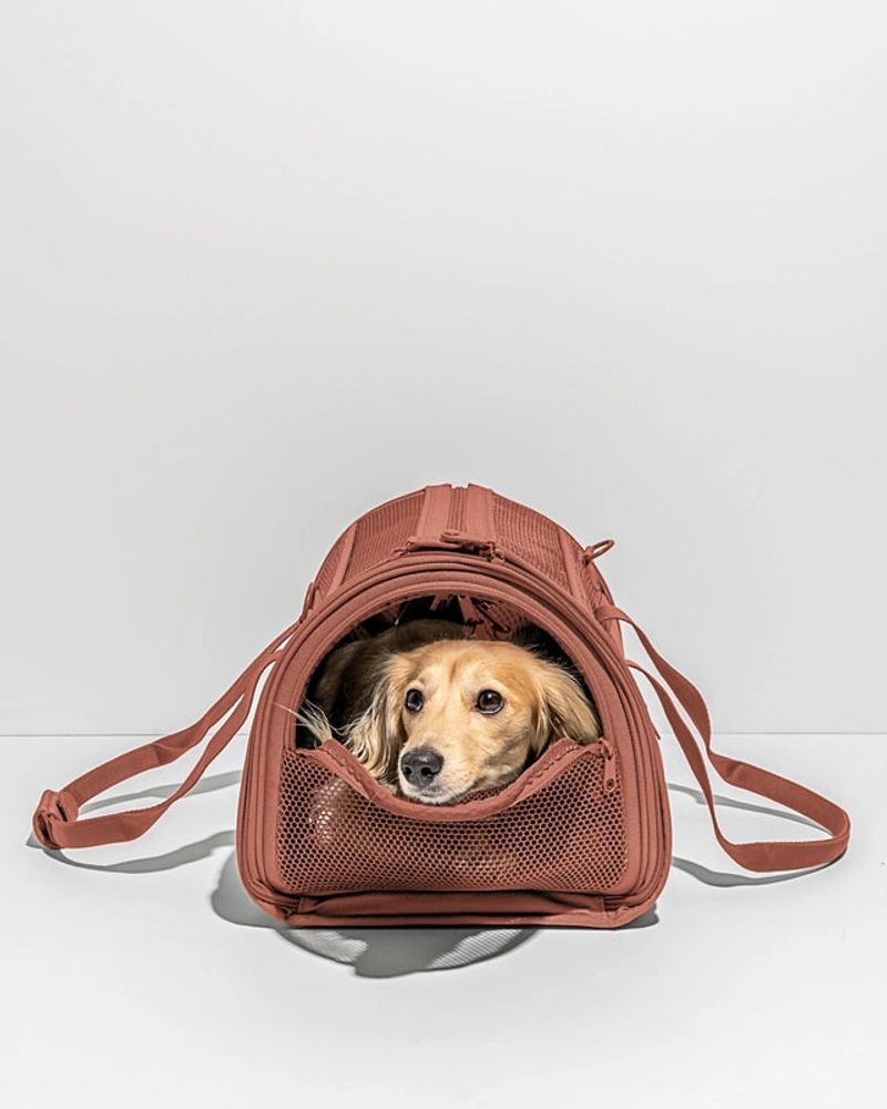 Wild One Travel Carrier