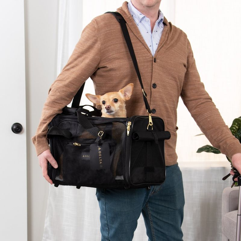 Sherpa Delta – Airline-Ready at a Good Price
