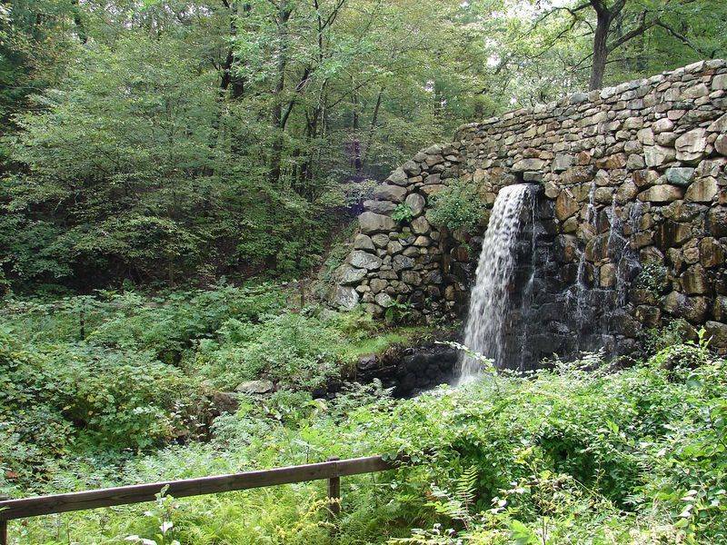 Noanet Woodlands, Dover
