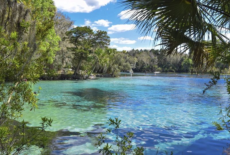 Silver Glen Springs Recreation Area — Ocala National Forest