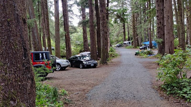 Oswald West Campground Nature Loop