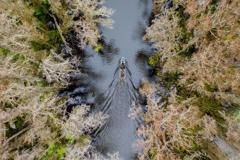 Caddo Lake (Swampy Wilderness)