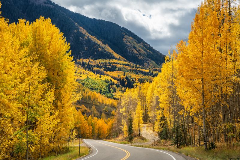 Independence Pass: A Golden Highway