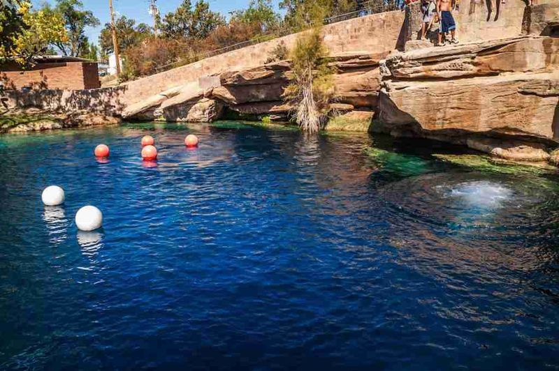 Perfect Year-Round Swimming Conditions