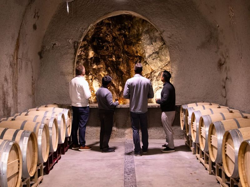 Baldacci Family Vineyards: Diamond Mountain's Artisan Treasure