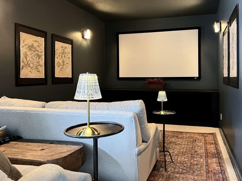 Media Rooms/Home Theaters