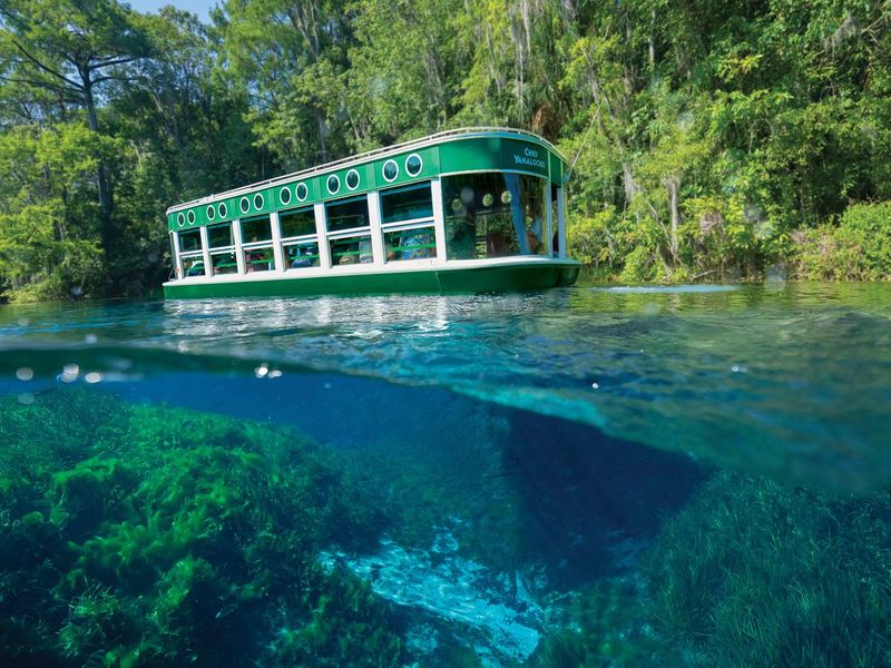 Silver Springs - Crystal Waters and Glass-Bottom Boats