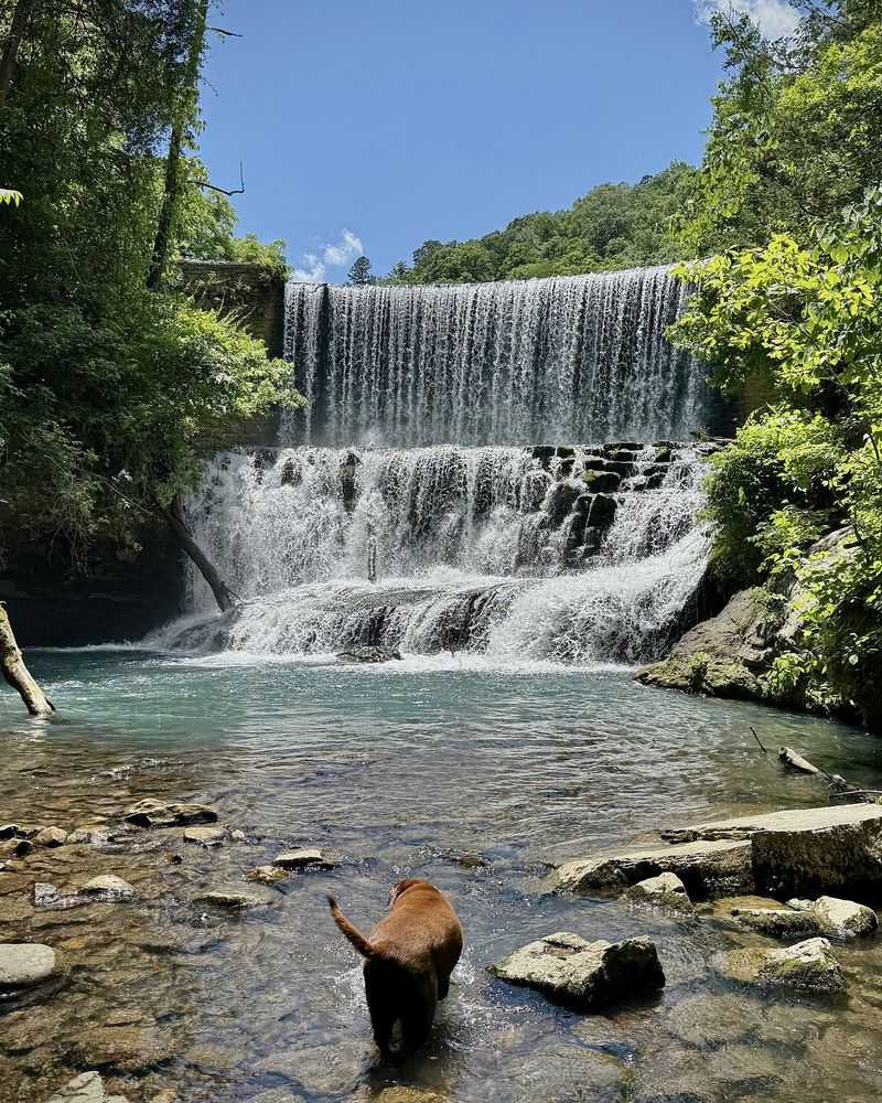 The Ozarks, Arkansas (Beyond Branson)