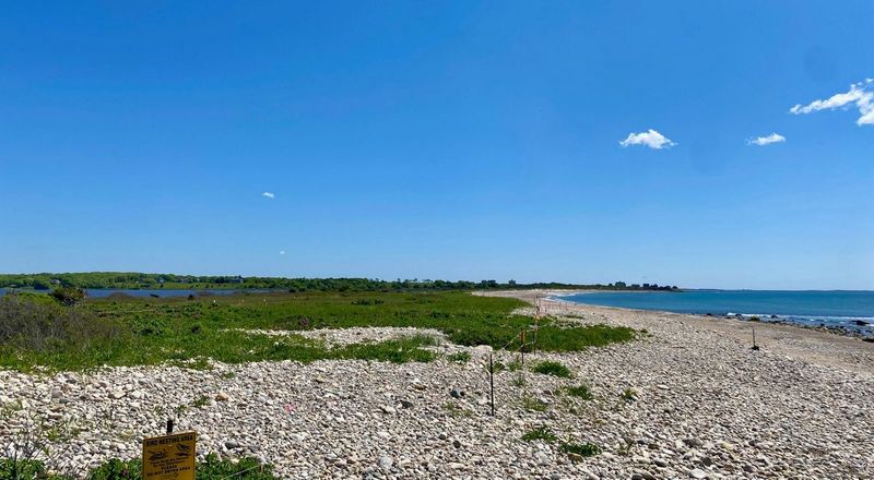 Goosewing Beach Preserve, Little Compton
