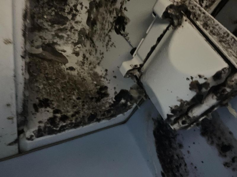 Ice Machines Harbor Hidden Dangers