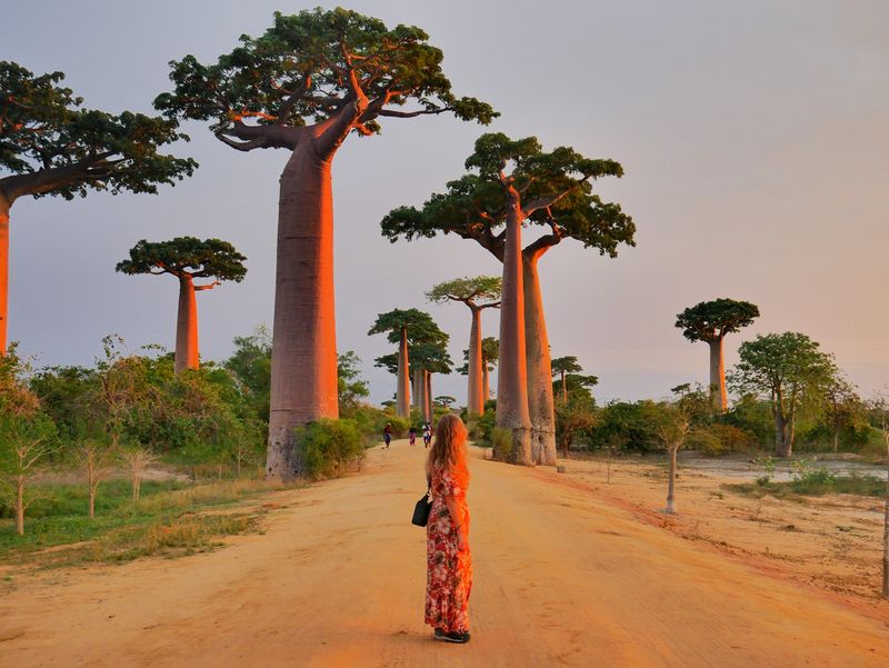 Madagascar