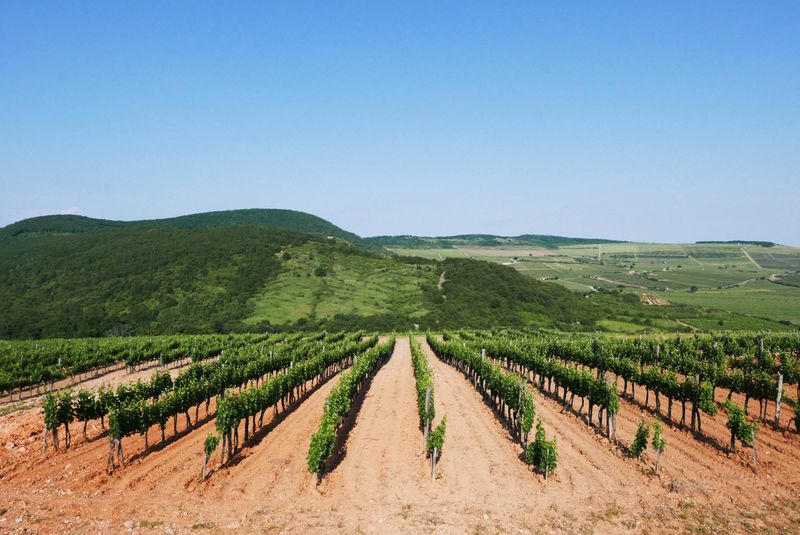 Tokaj, Hungary