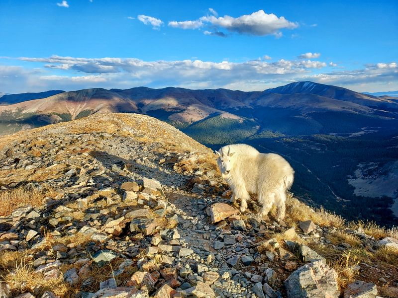 Quandary Peak: The Year-Round Challenge