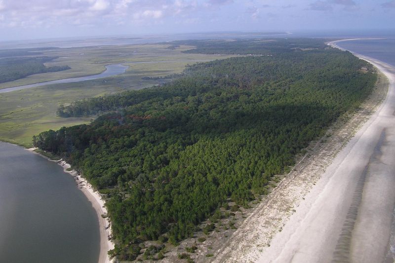 Blackbeard Island National Wildlife Refuge (boat access only)