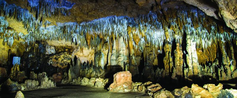 Underground Marvels: Florida Caverns State Park